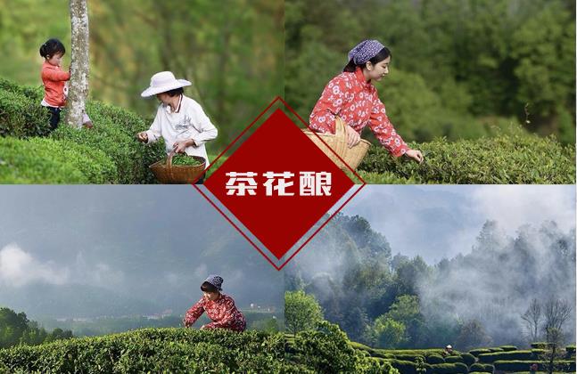 一碗茶花釀，品味一種生活方式